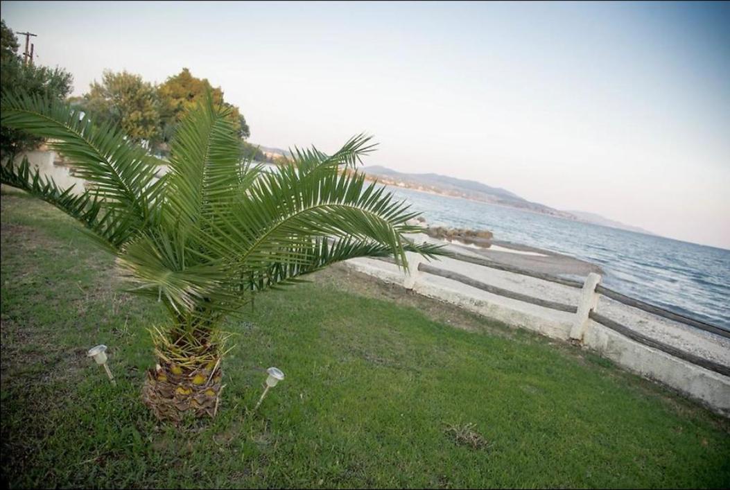 On The Wave Studios Spitakia Sto Kyma Nikiti (Sithonia) Exterior foto